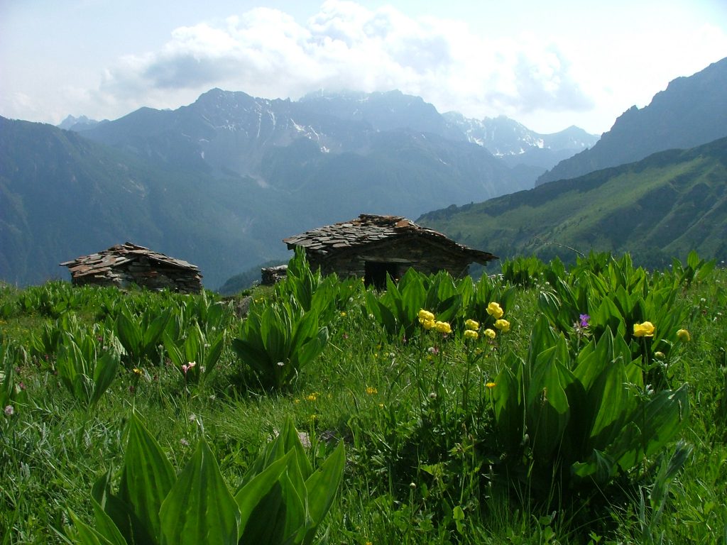 BAITE-FOTO ALBERGO LE MARMOTTE