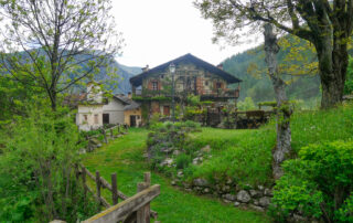 La Scurcio-1020945